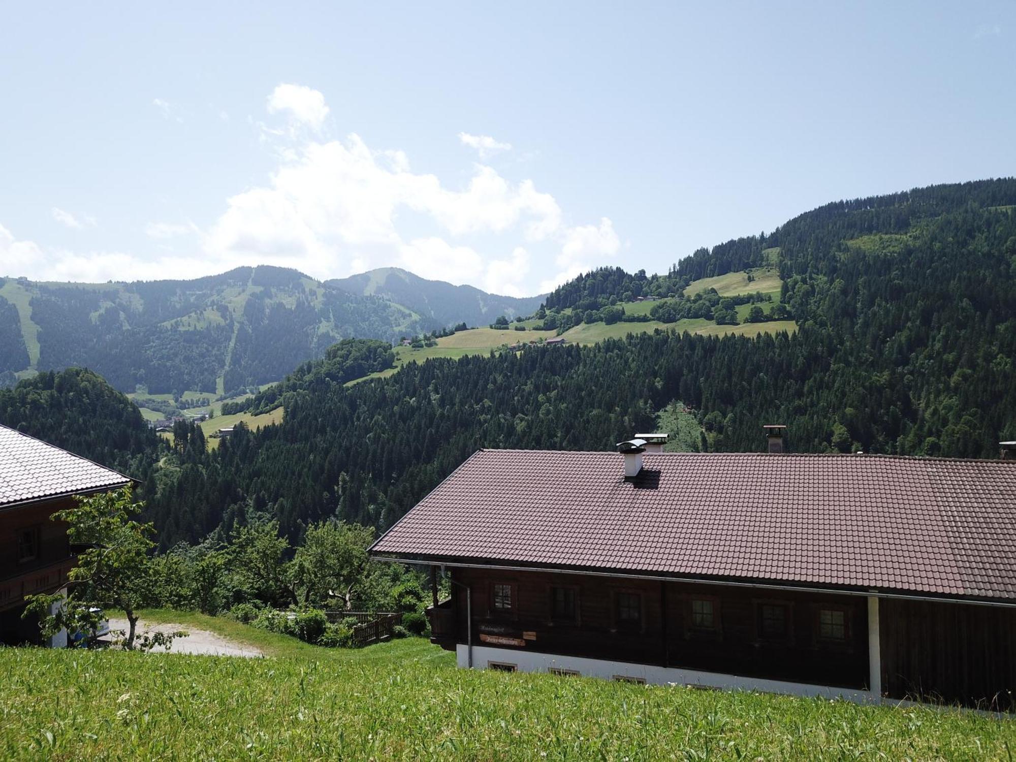 Wimmers Hundsegghof Wild001 Niederau Exterior photo