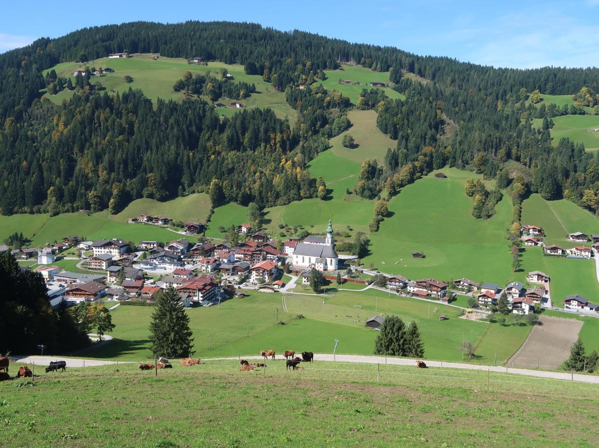 Wimmers Hundsegghof Wild001 Niederau Exterior photo