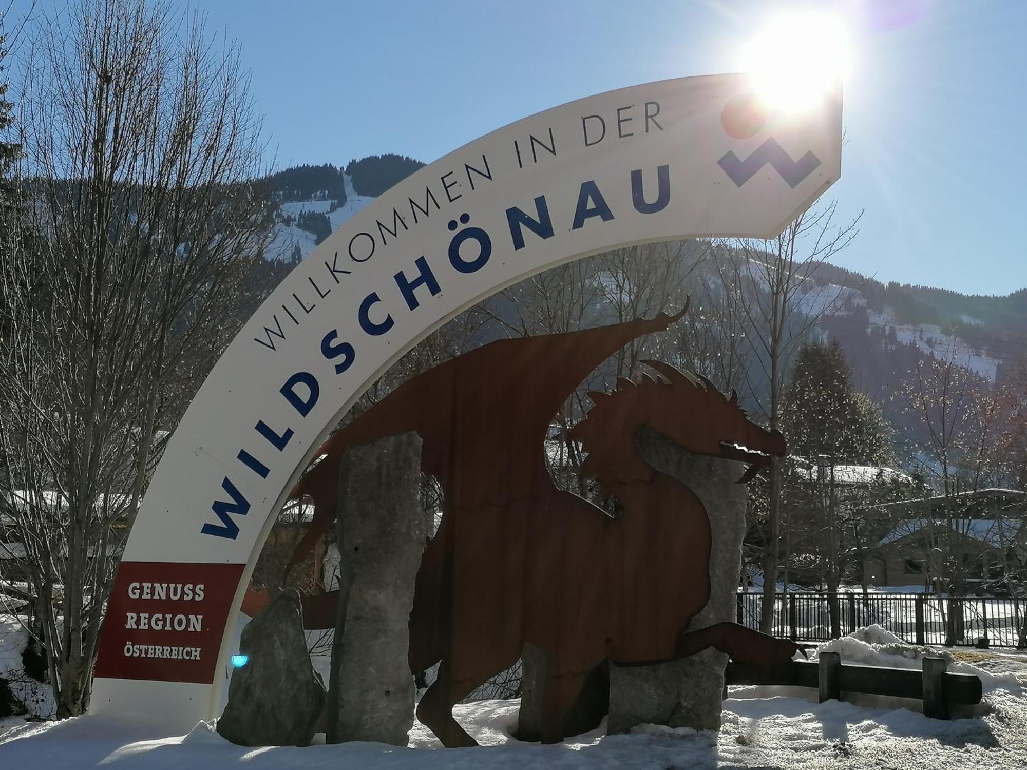 Wimmers Hundsegghof Wild001 Niederau Exterior photo